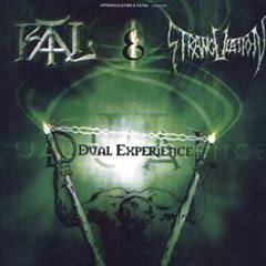 Dual Experience